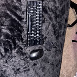 Mouse And Keyboard 