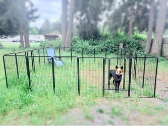 FXW Rollick Dog Playpen for All-Terrain