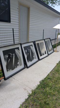 Black And White Big Pictures