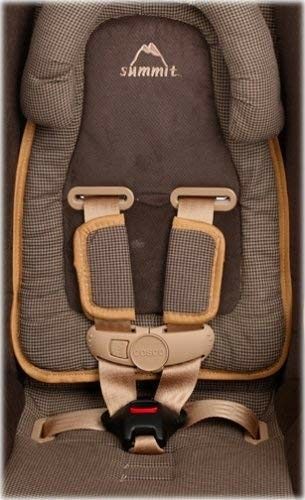 Cosco mocha car seat