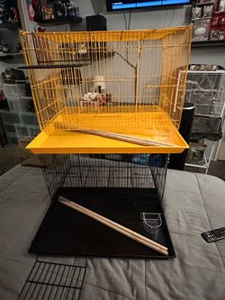 Bird cage