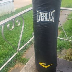 everlast 75lbs Punching Bag  