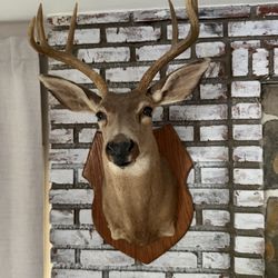 Deer Head