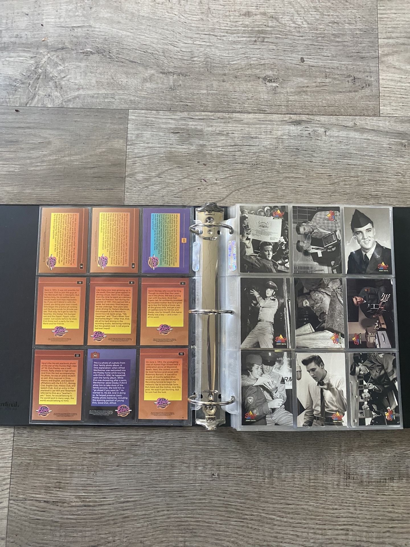 Zippin 코인 (84) 사진