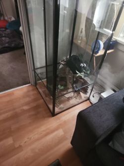 Glass Terrarium Large