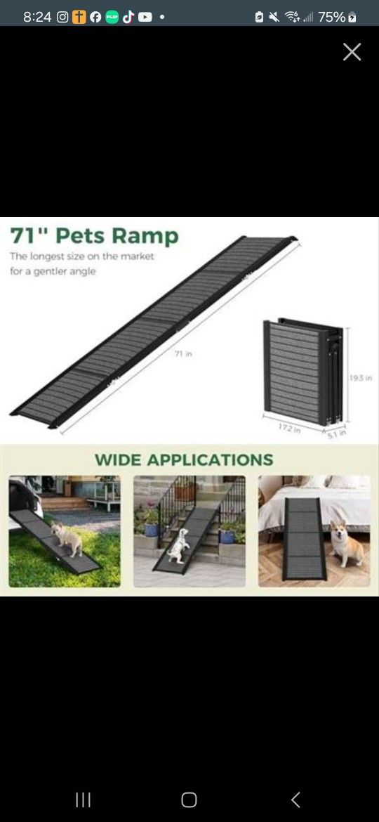 PET RAMP