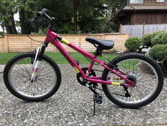 20” Kids Mountain Bike