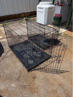 Large Kennel $45