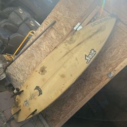 swallowtail Lost Mayhem 