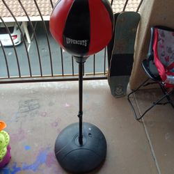 Punching Bag
