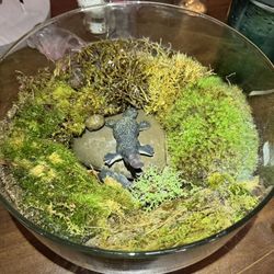 Terrarium With Platypus Figure. 