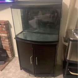 Bow Front 40 Gallon Fish Tank 