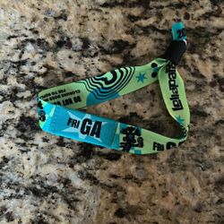 Friday GA Lollapalooza Ticket (8/1)