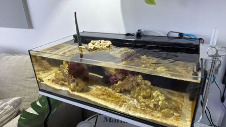 10 Gallon UNS tank