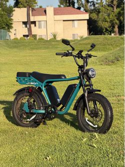 Jasion RetroVolt MAX Dual Battery E-Bike ⚡️Like New 🔥 Long Range 950$