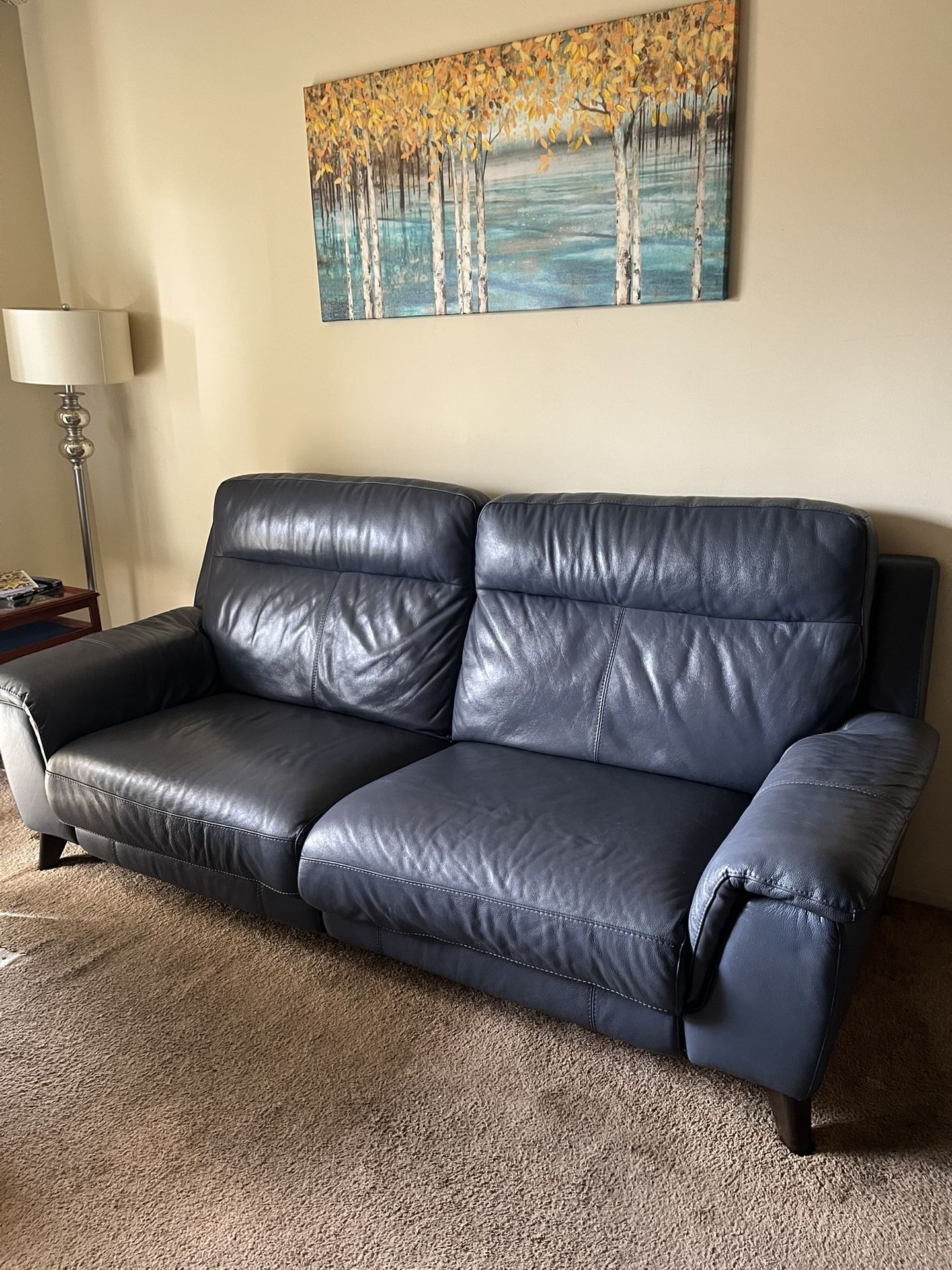 Medium Blue Marble Sofa Set