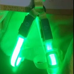 New Small LED Dog Harness $15