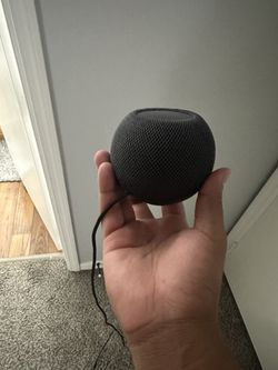 Apple Home Pod Mini