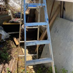 Werner 6 Ft Ladder