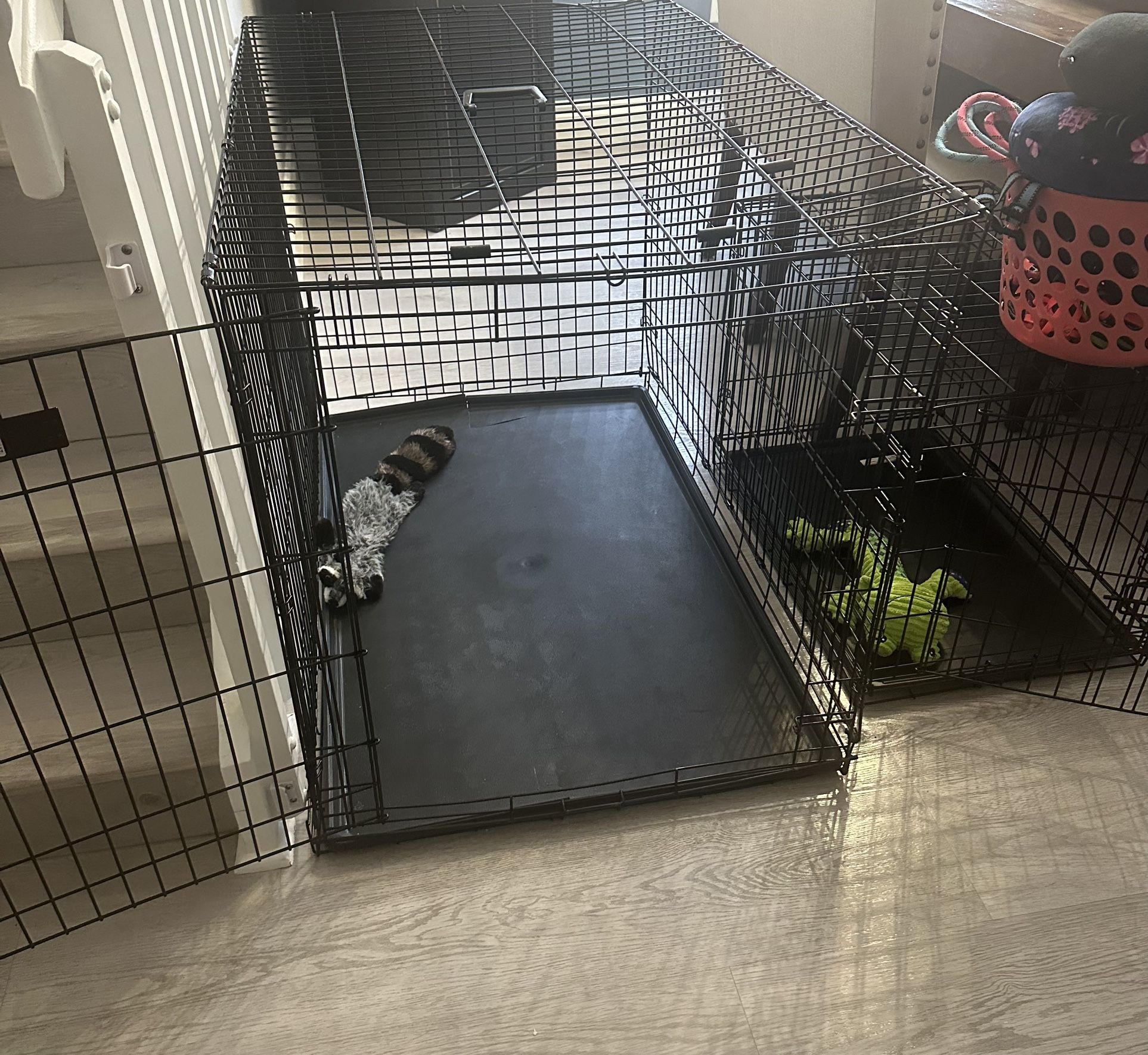 Dog Cage