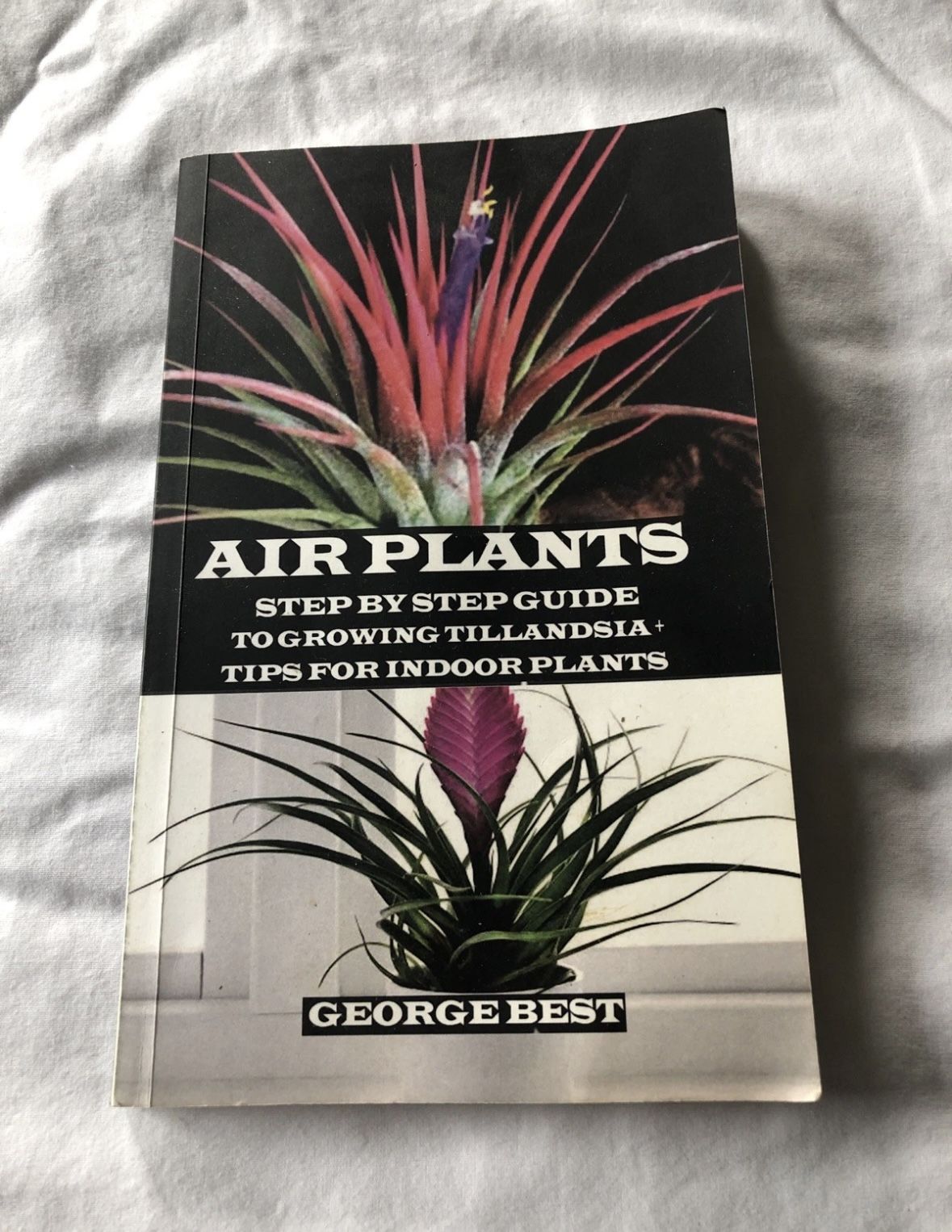Air Plants Paperback By George Best - 2019