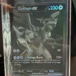 Zekrom 172/086