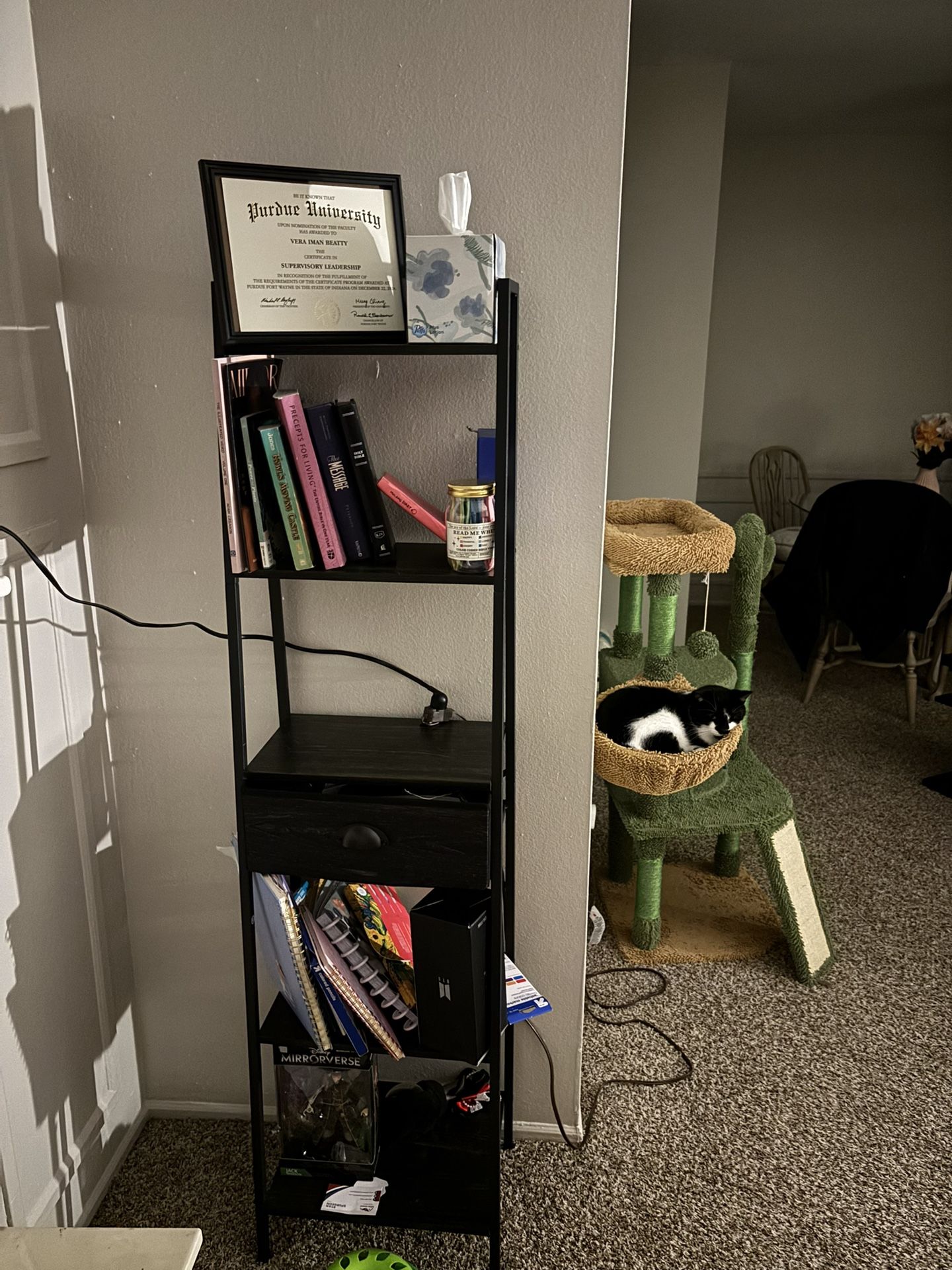 Bookshelf