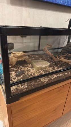 Glass Reptile Terrarium (1’ x 1.5’ x 3’) with Accessories