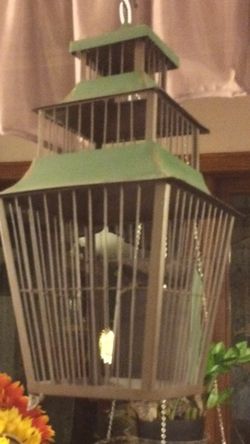 Olive Green Decoative Bird Cage. 21" Tall