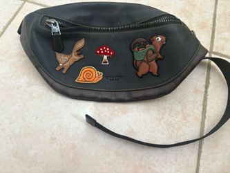 Coach Fanny pack