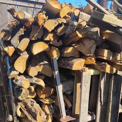 Split Pecan And Red Oaks 