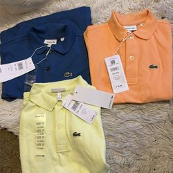 Lacoste new polo niño