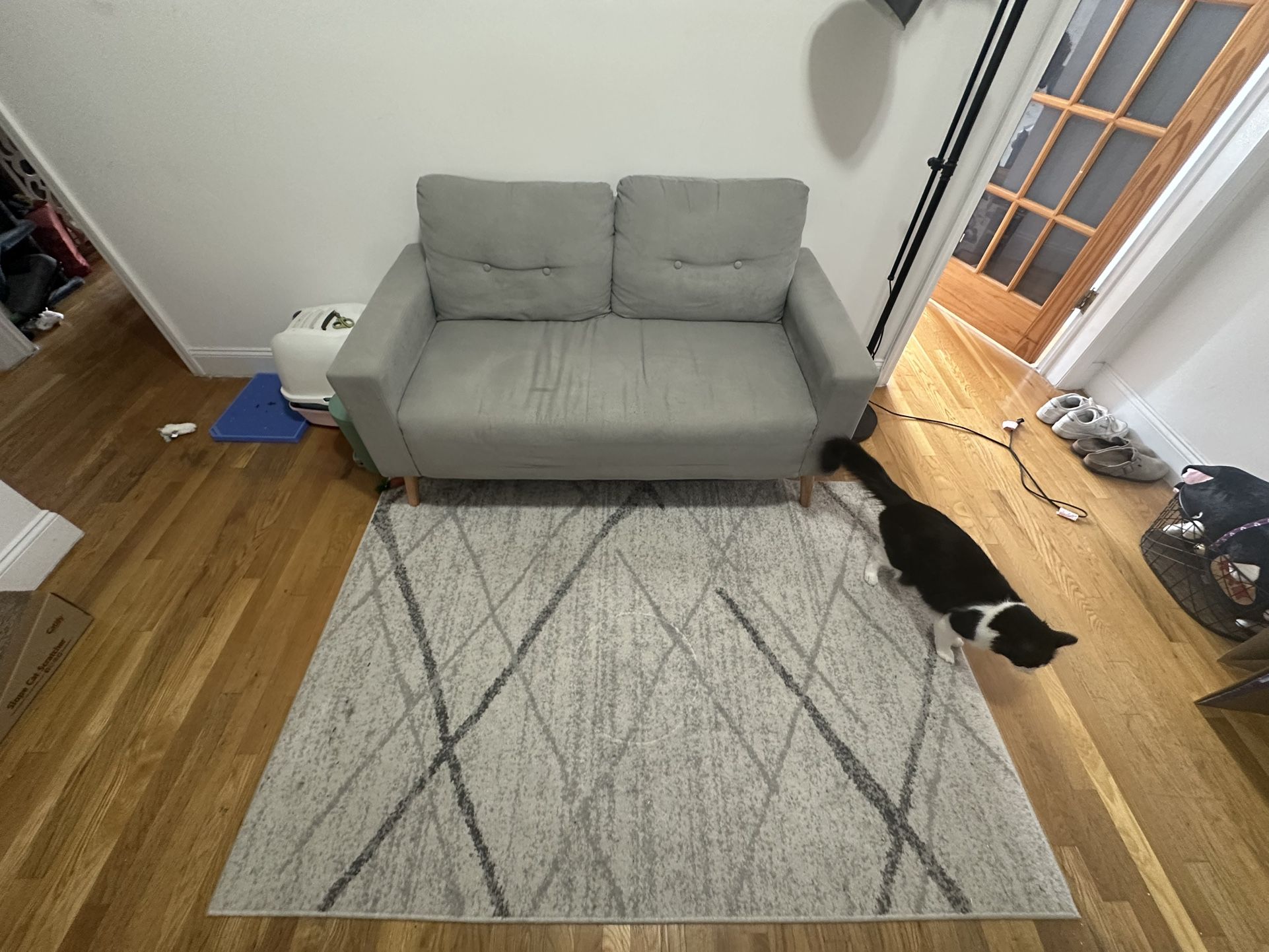 Couch & Rug