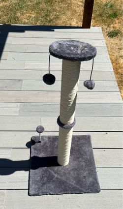 Cat Scratch Pole
