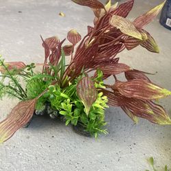 Decoración For Aquarium 