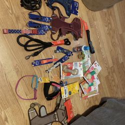 Dog Stuff 