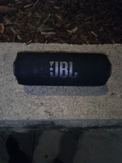 JBL Flip 7 