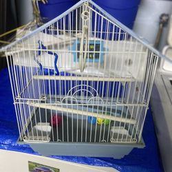 Bird Cage Good Size For Two Parakeets 