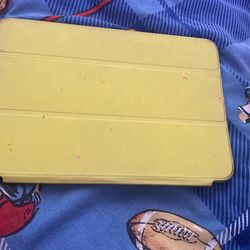 Mini iPad Case
