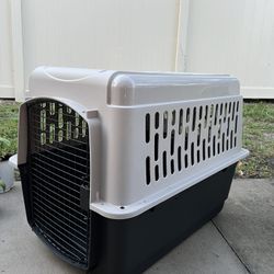 Dog Kennel