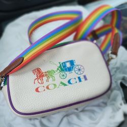 Convertible Belt Bag Rainbow Horse Bag