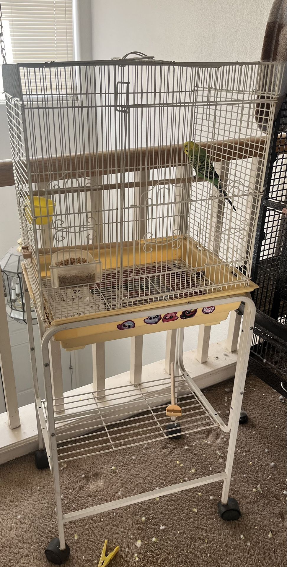 Bird cage with Stand