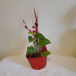 Pothos Houseplant In 4" Clay Pot For Valentine's Day 
