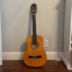 Acoustic Guitar 