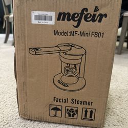 Mini Facial Steamer