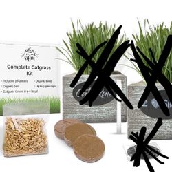 Organic Cat Grass Seeds Kit