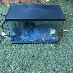 Fish Tank 14” Long 9” Tall 7.5” Wide 