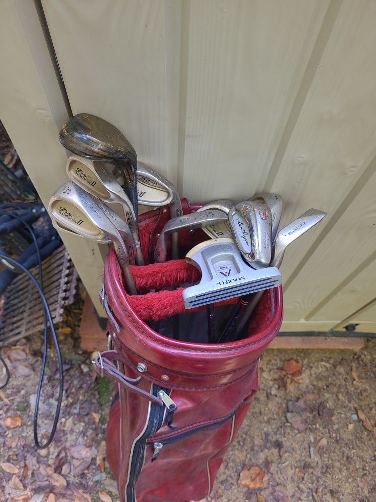 Ladies Golf Starter Set, Ladies Cobra 11 Irons.