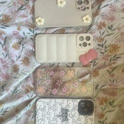 iPhone 13 Pro Max Cases