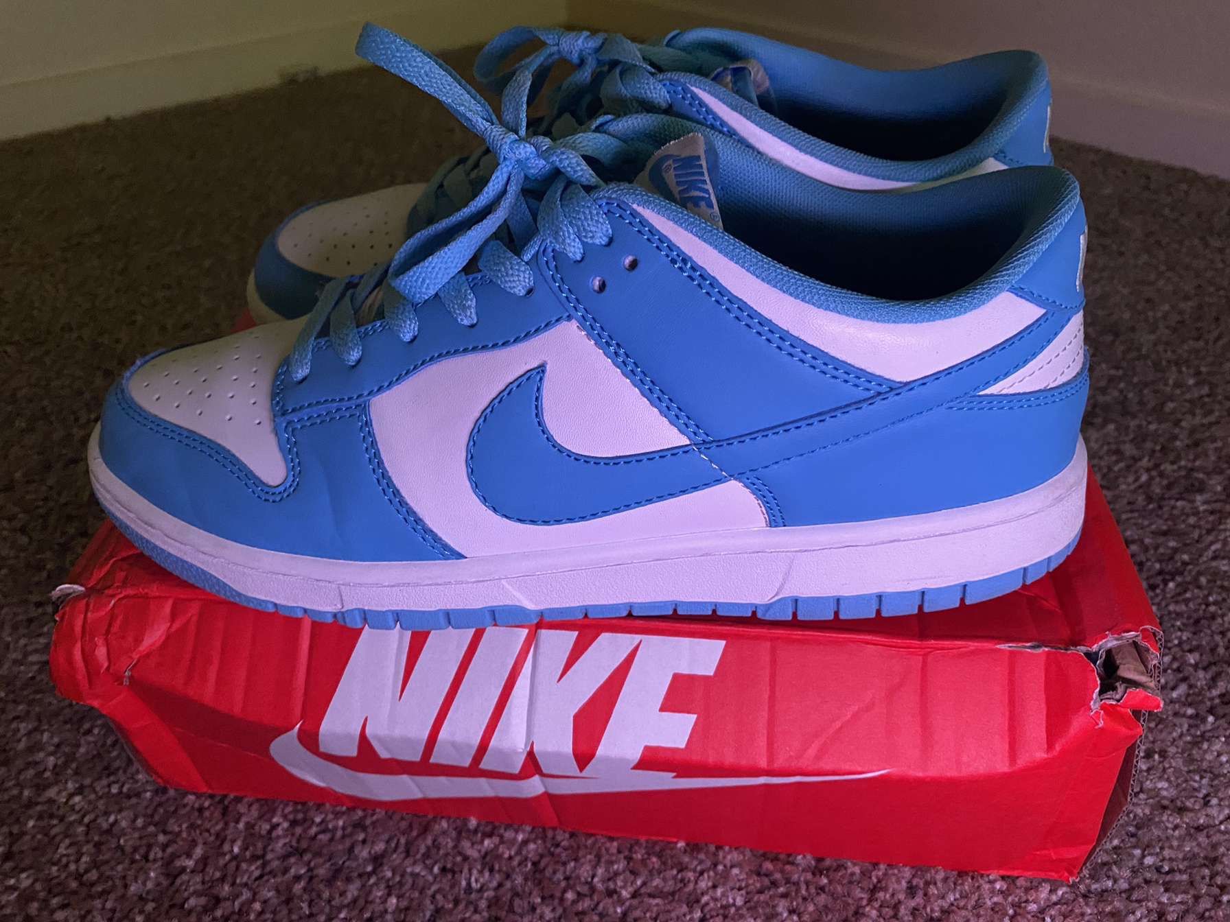 Nike Dunks unc 